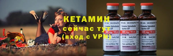 прущая мука Ельня