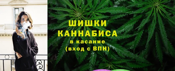 прущая мука Ельня