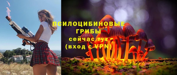 эйфоретик Елабуга
