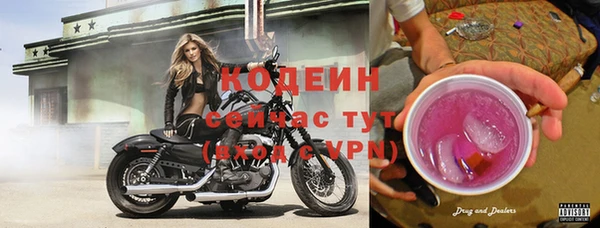 эйфоретик Елабуга
